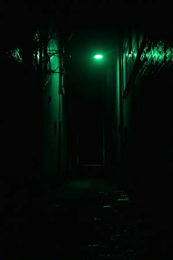 红果网《暗夜追光者》封面